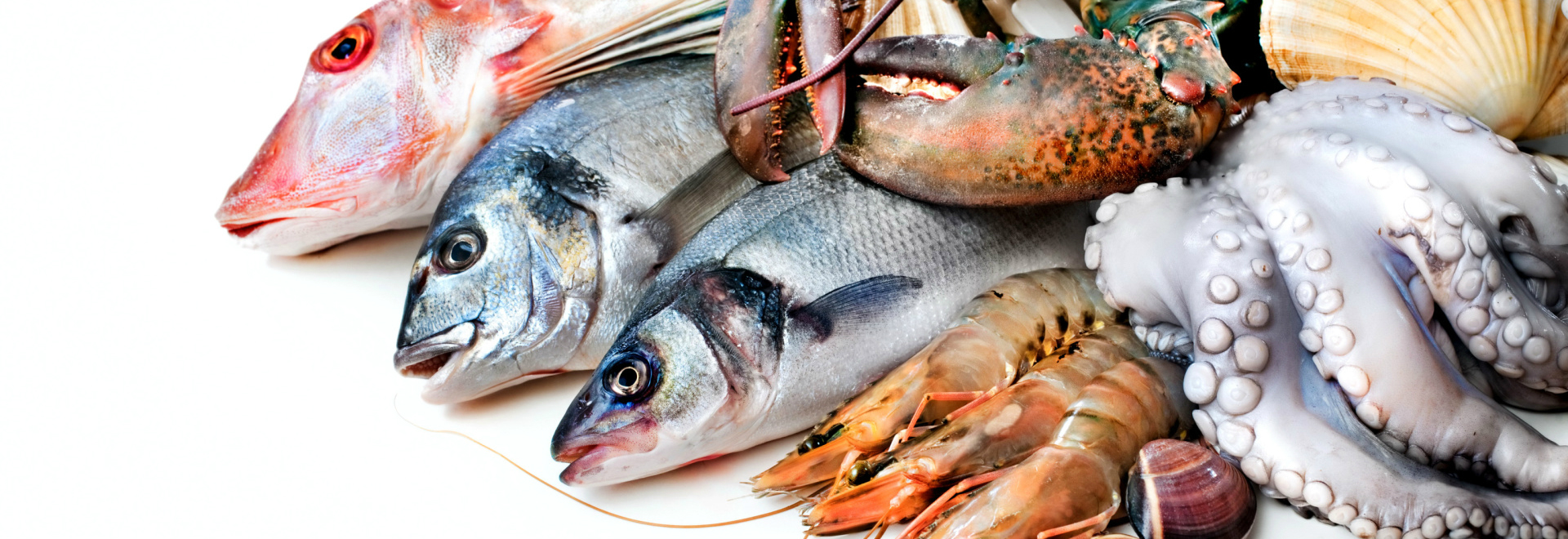 10 restaurantes de peixe em Lisboa