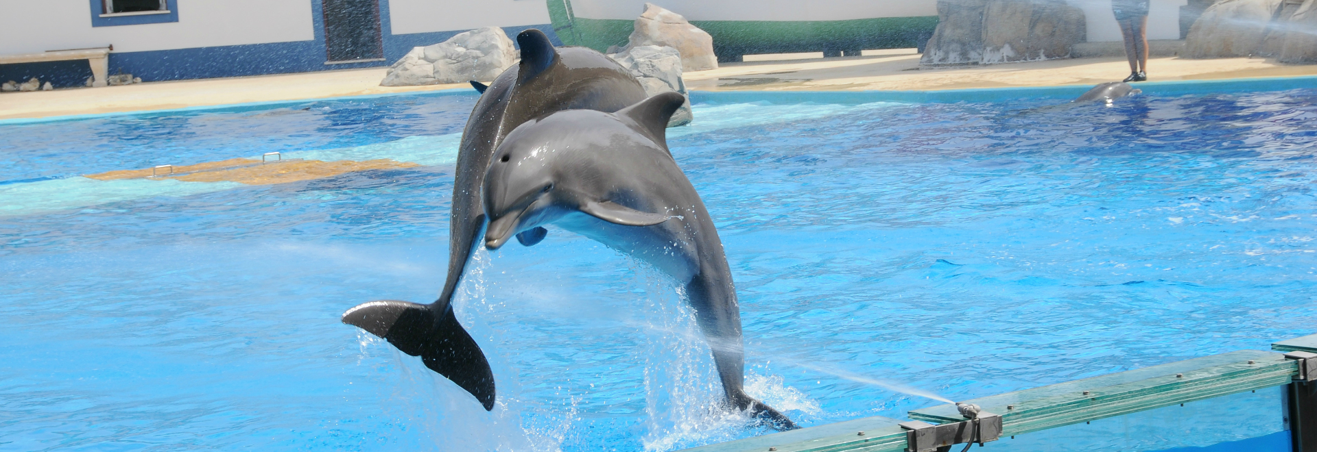 Jardim ZoolÃ³gico de Lisboa