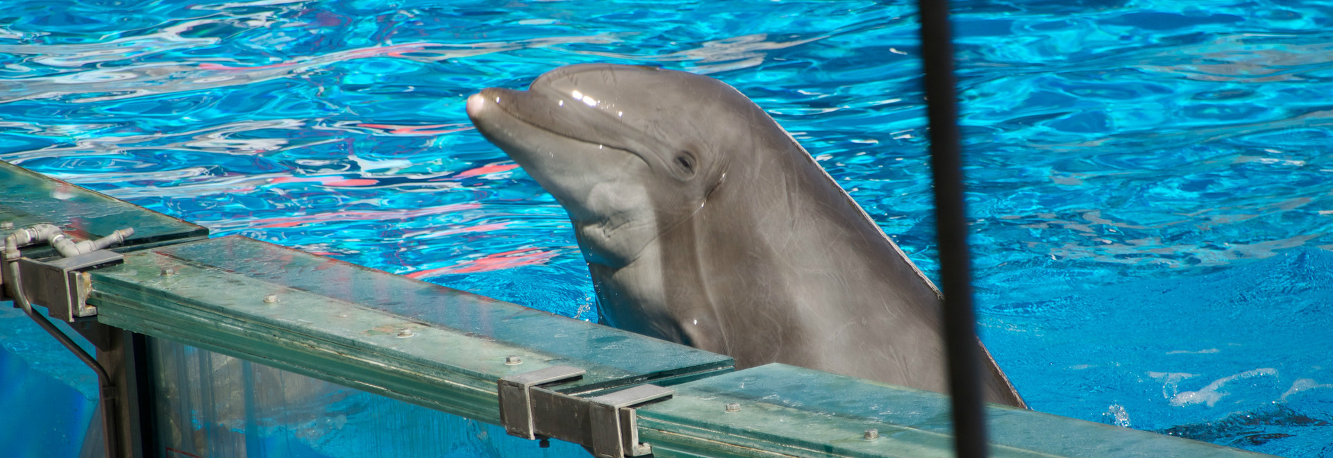 Z - Viagem em famÃ­lia 