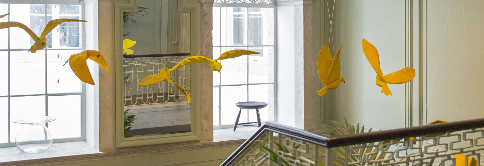 Casa Pau Brasil em Lisboa