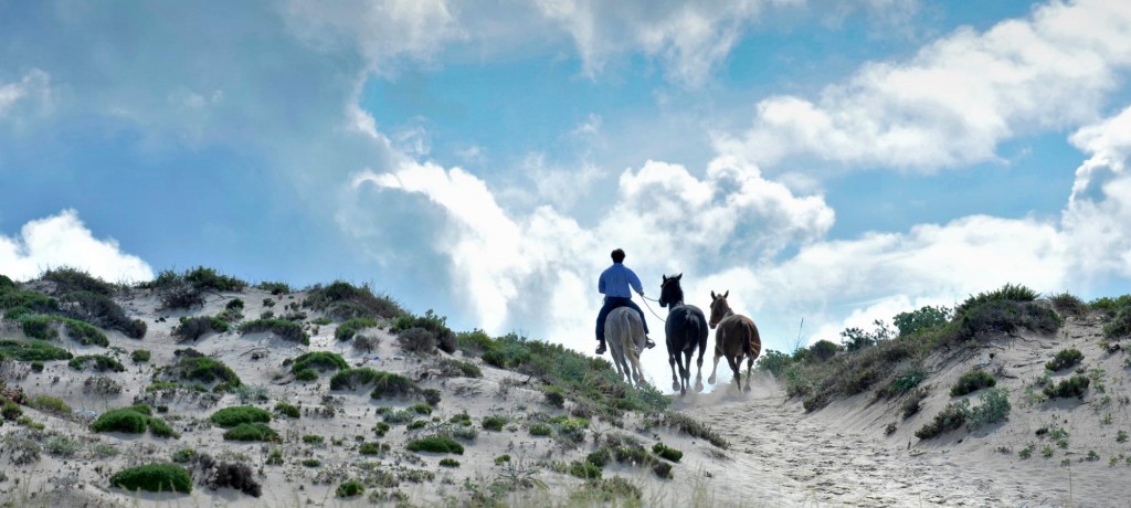 Cavalos na Areia | Comporta