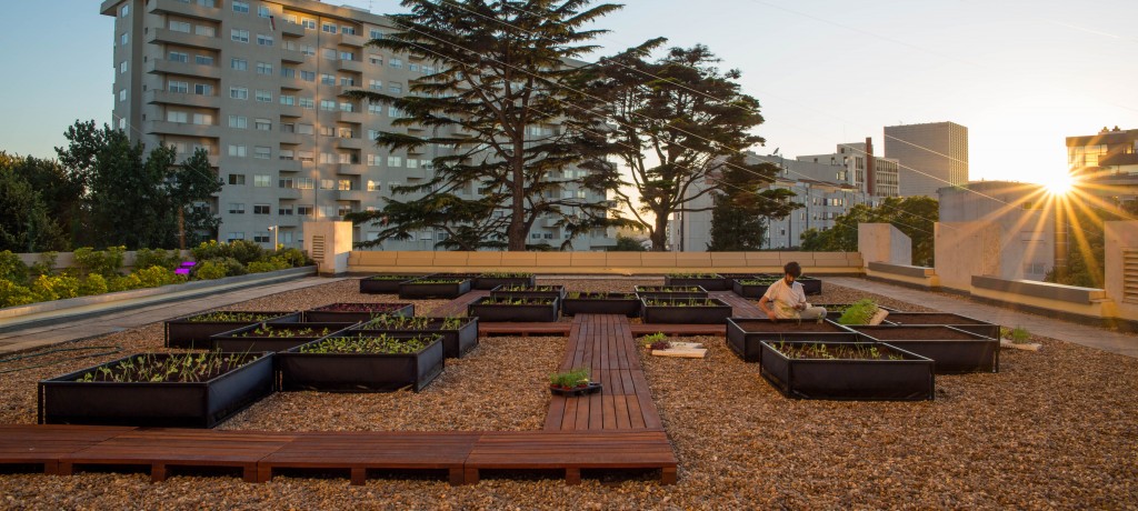 Horta Crown Plaza Porto
