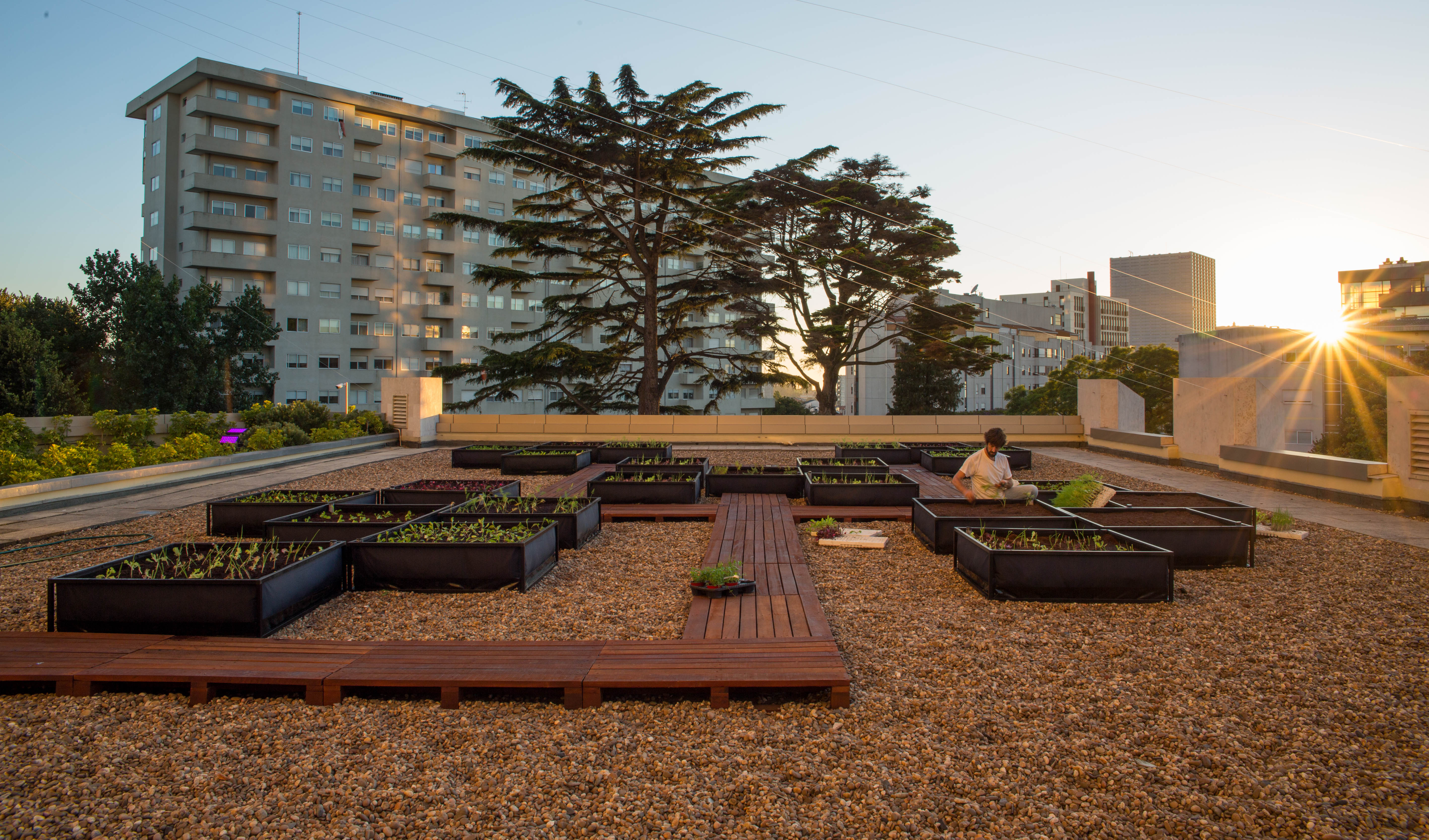 Horta Crown Plaza Porto