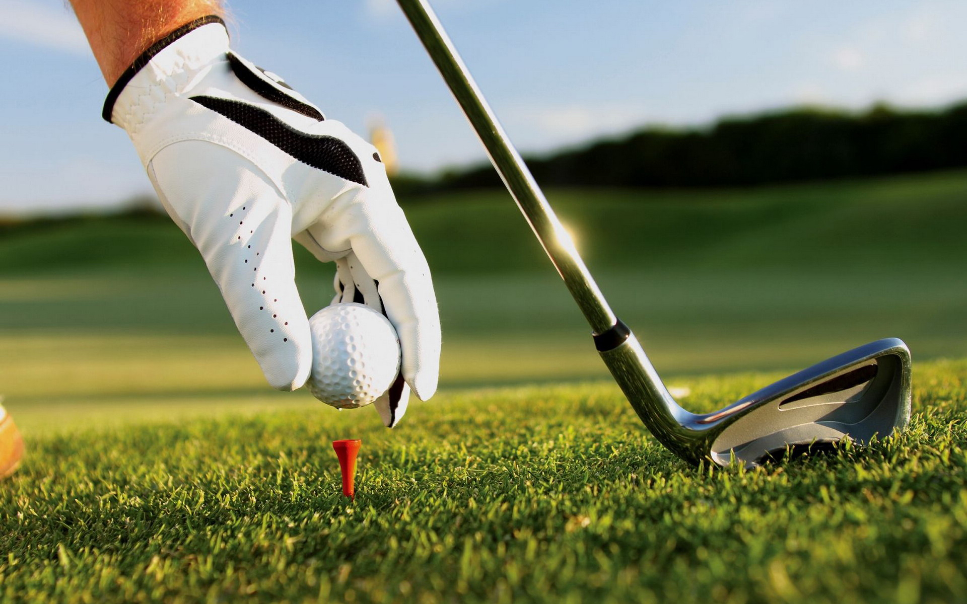 Golfe Portugal