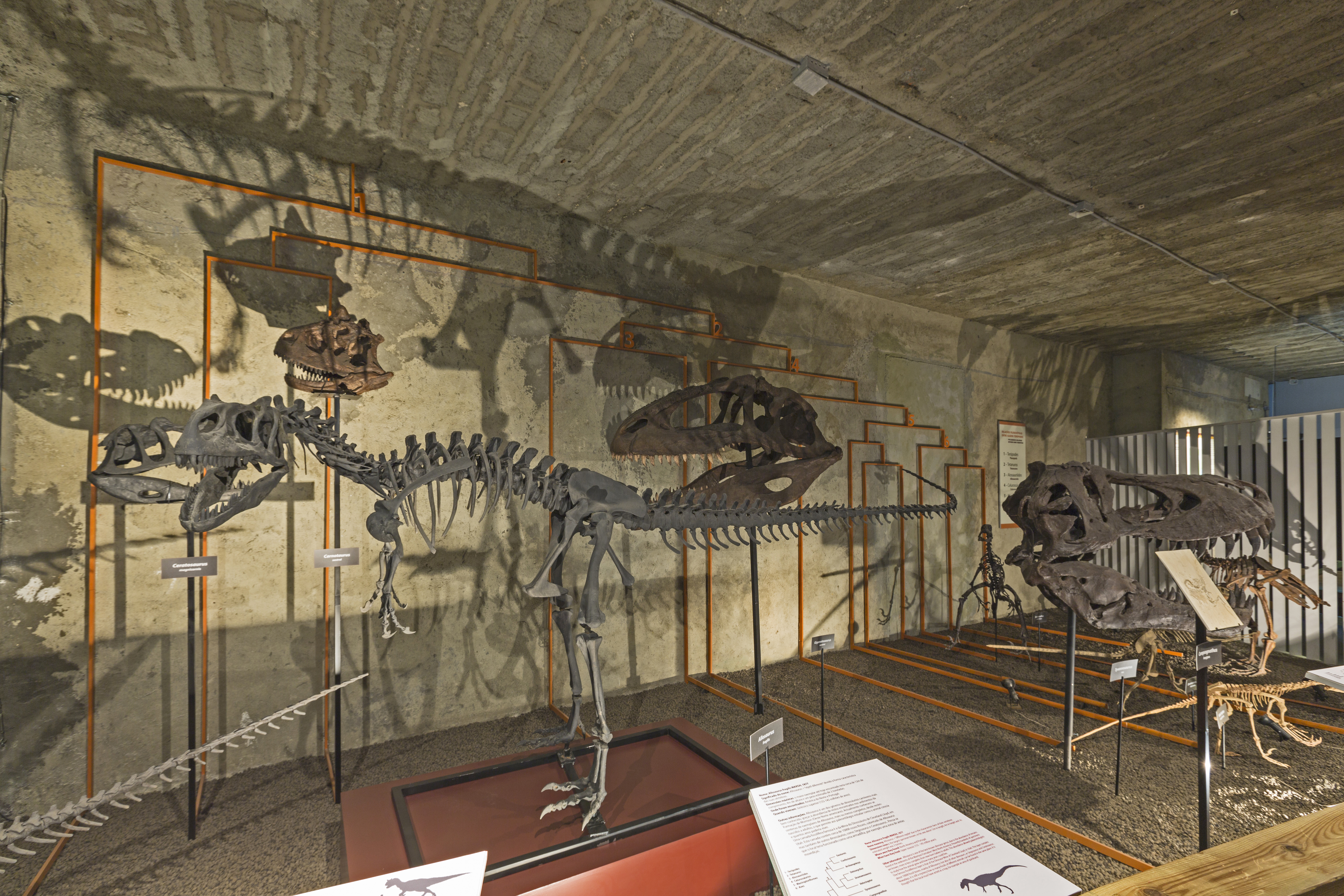 Noite Europeia Investigadores