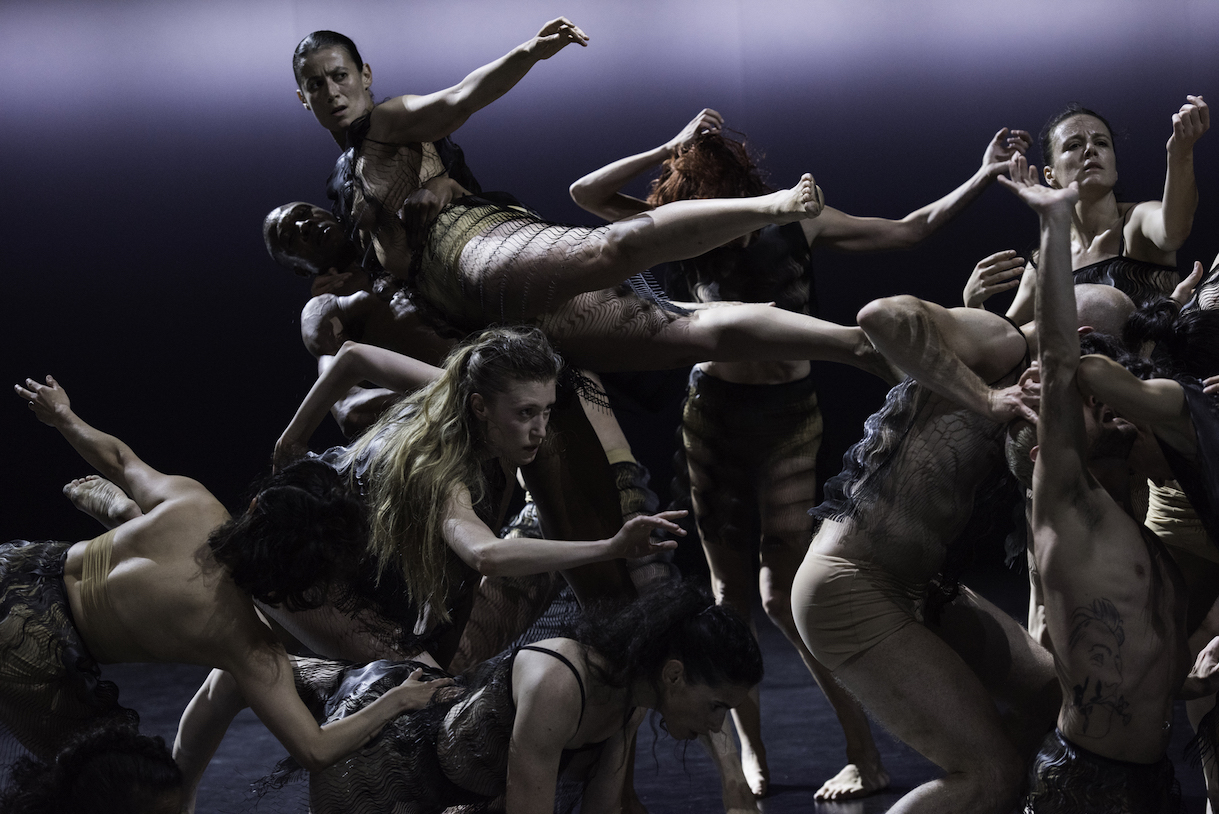 Sasha Waltz no CCB