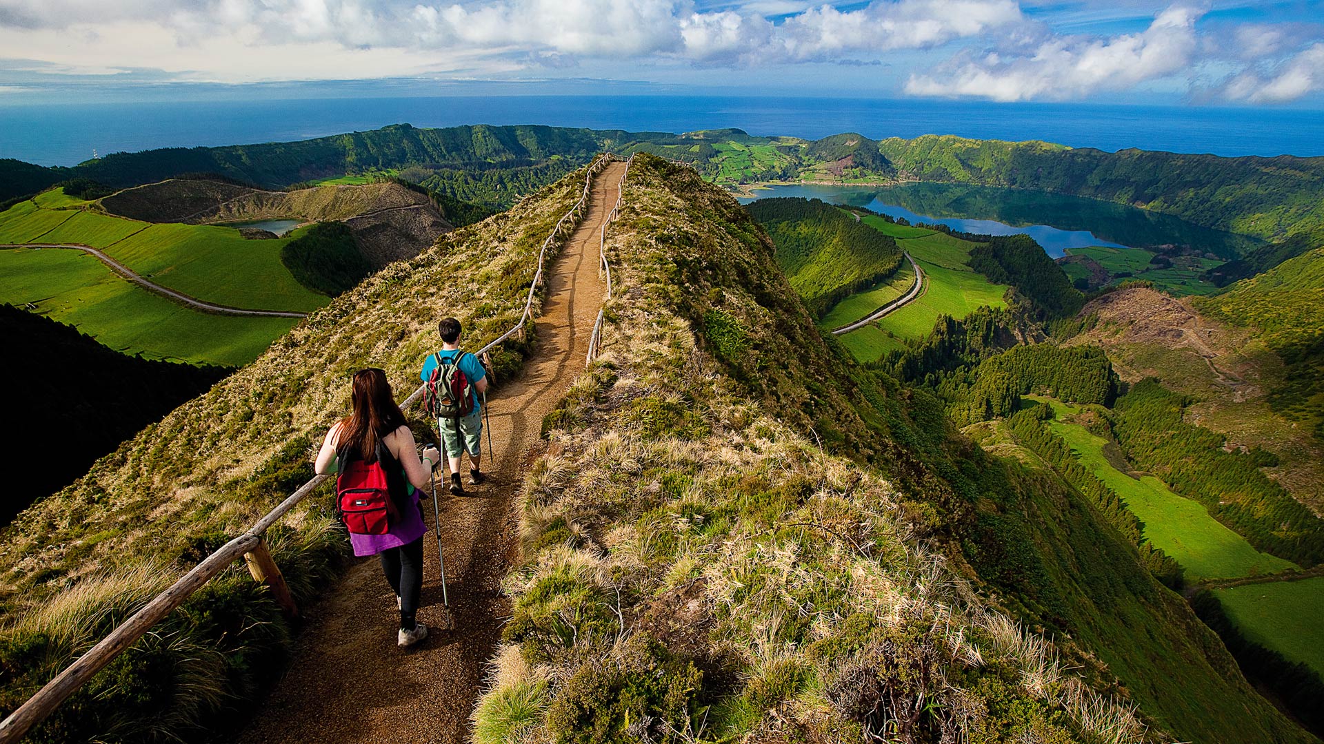 Açores Bloomberg