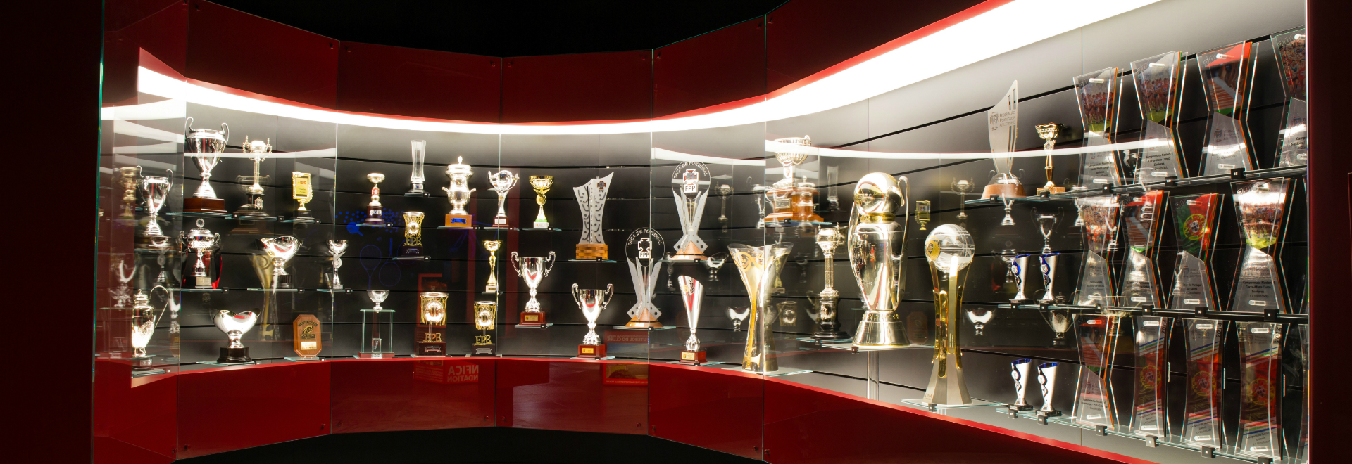 z - Museu Cosme DamiÃ£o