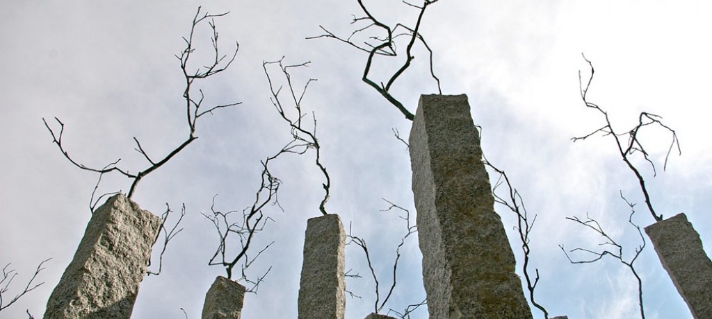 Parque Escultura VNB