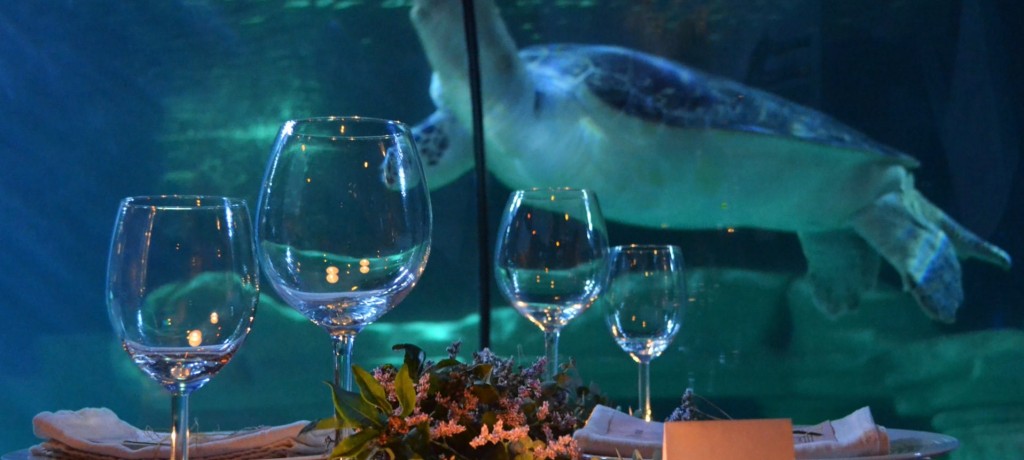 SÃ£o Valentim Sea Life