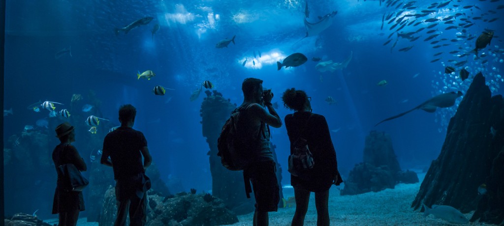 OceanÃ¡rio de Lisboa