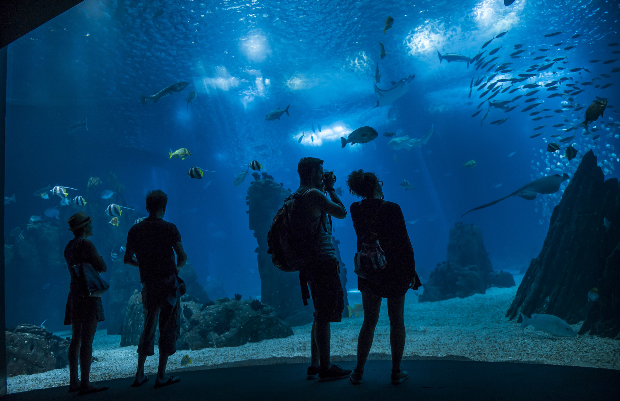 Oceanário de Lisboa