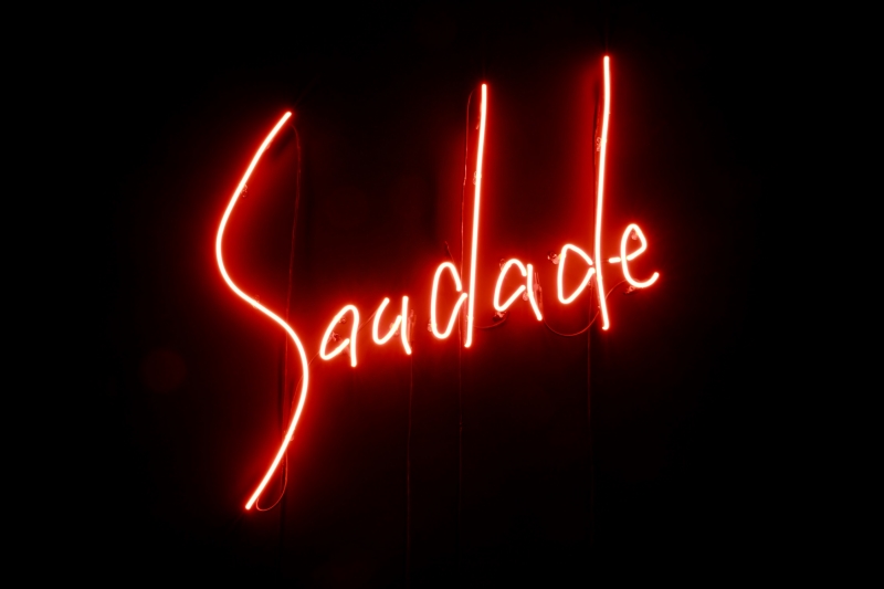 Saudade no Museu ColeçÃ£o Berardo