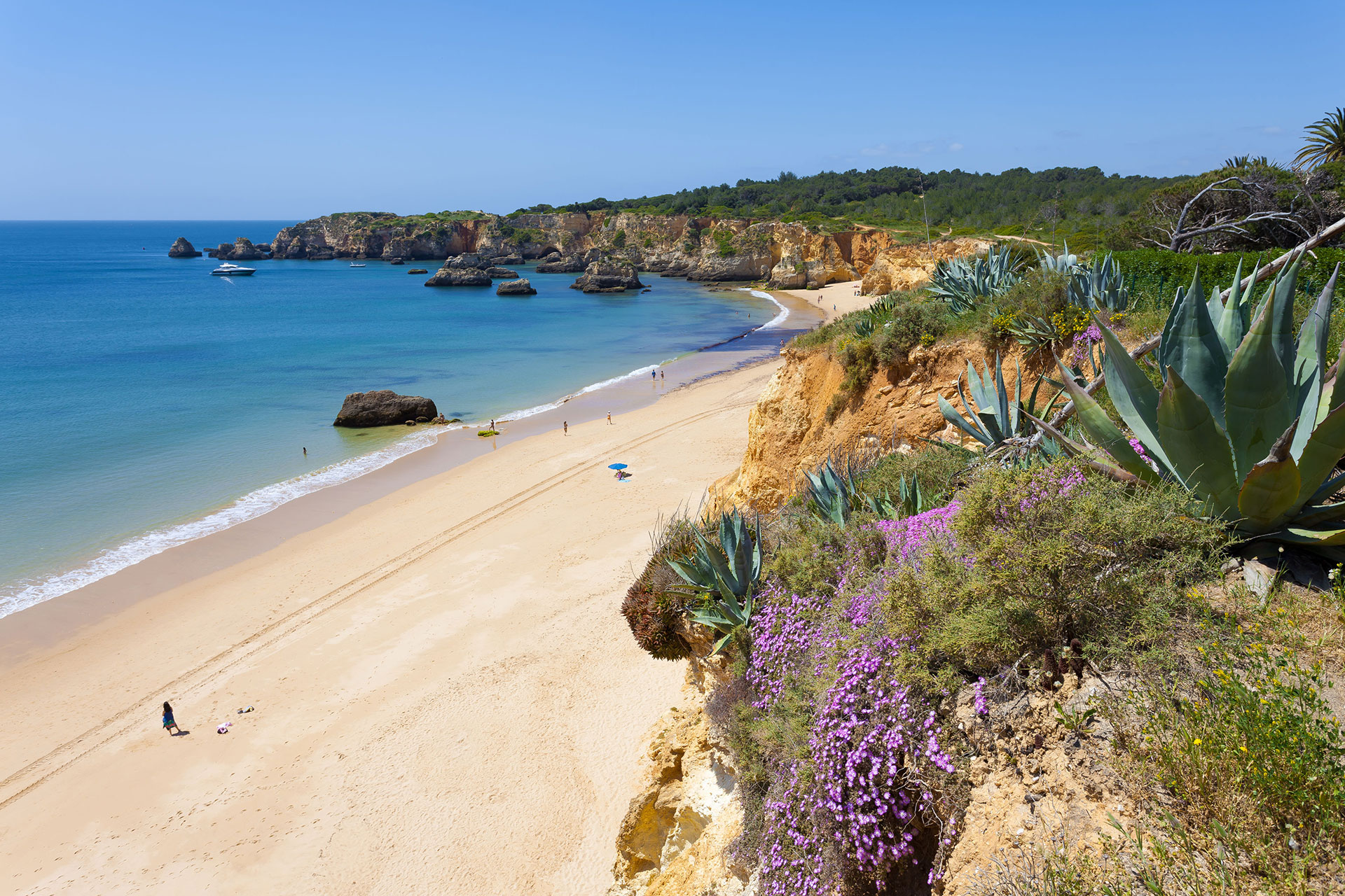 Turismo Algarve