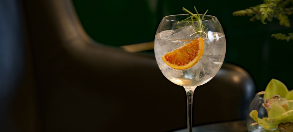 Dia Nacional do Gin TÃ³nico
