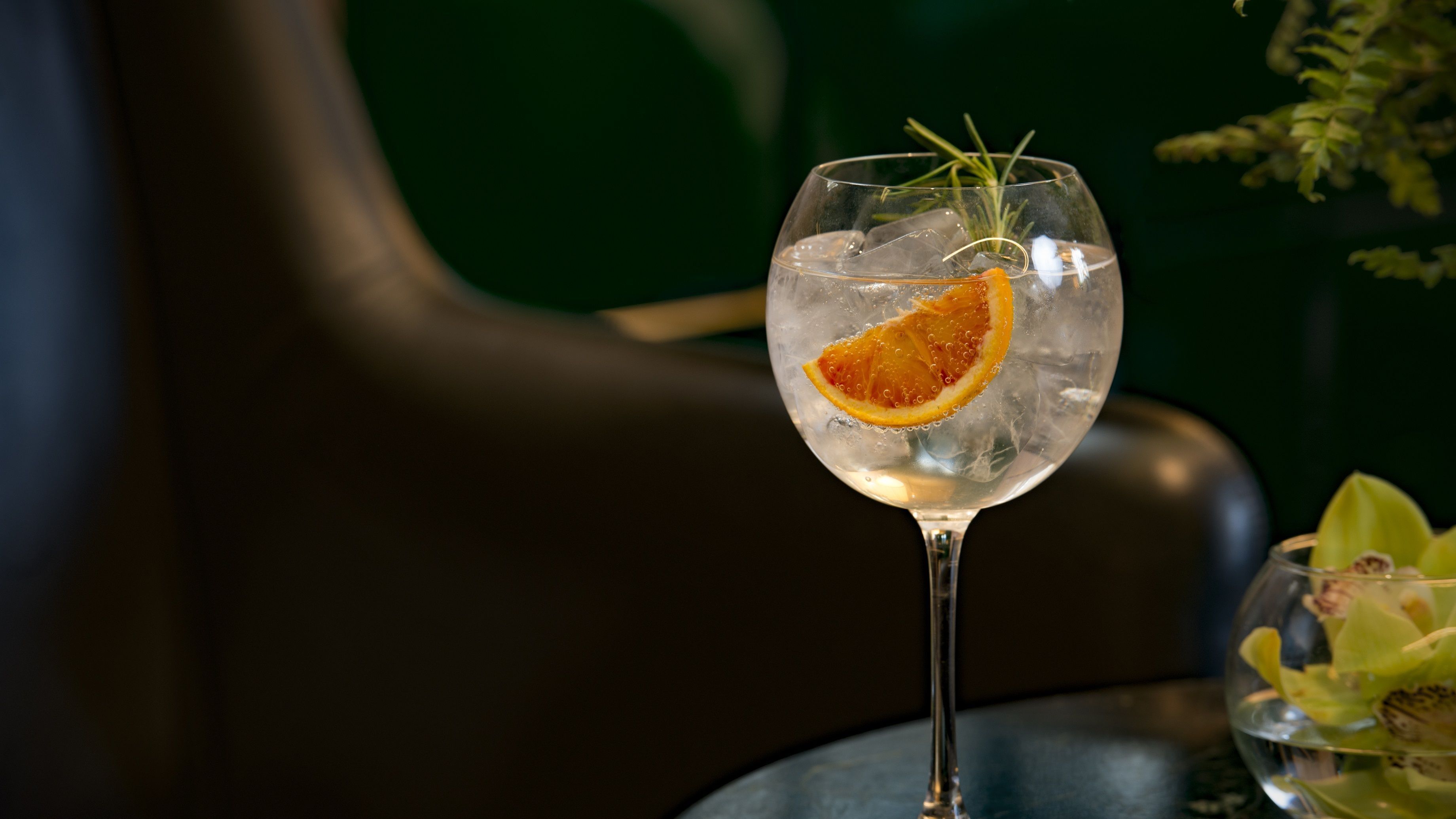 Dia Nacional do Gin Tónico